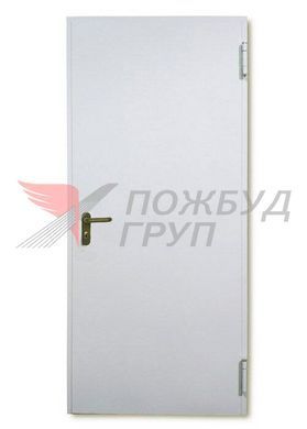 Двері протипожежні ДМП-01 EI60 (EI30) 900x2350 мм