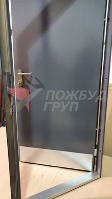 Дверь противопожарная ДПМ-01 EI60 (EI30) 1200x2100 мм с накладками из нержавеющей стали