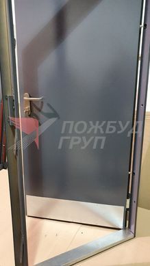 Дверь противопожарная ДПМ-01 EI60 (EI30) 1200x2100 мм с накладками из нержавеющей стали